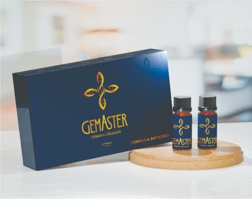 GEMASTER