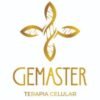 GEMASTER
