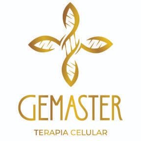 GMASTER GEMASTER