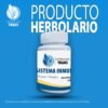 SISTEMA INMUNE